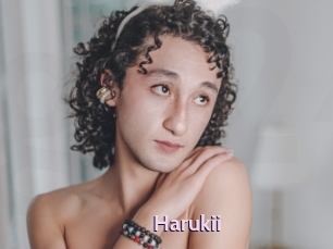 harukii Gay Zone 24