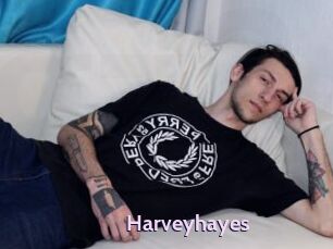 Harveyhayes