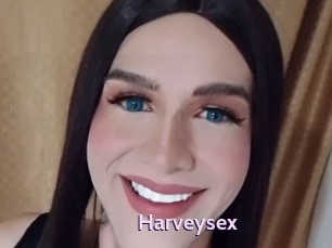 harveysex Gay Zone 24