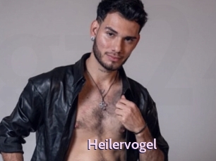 Heilervogel