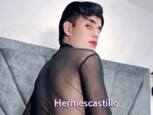 hermescastillo Gay Zone 24