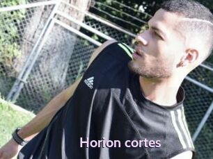 Horion_cortes