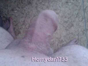 Hornydan1733