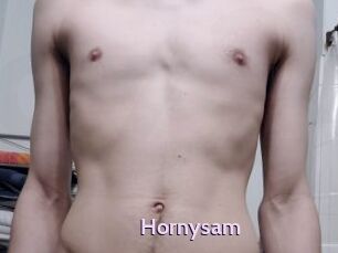 Hornysam