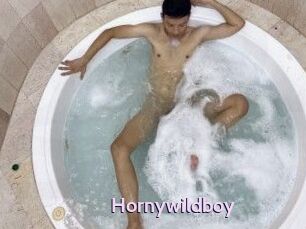 Hornywildboy