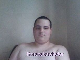 Horsesbatchelor