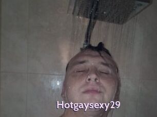 Hotgaysexy29