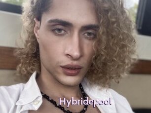 Hybridepool