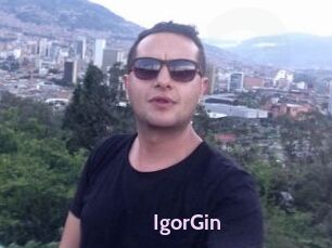 IgorGin