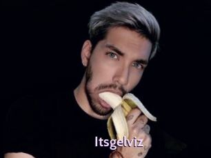 Itsgelviz