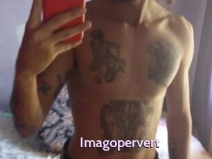 Imagopervert
