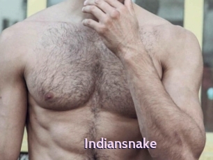 Indiansnake