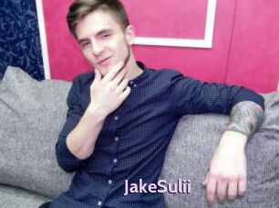JakeSulii