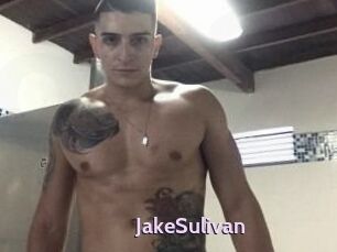 Jake_Sulivan