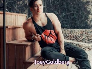 JoeyGoldberg
