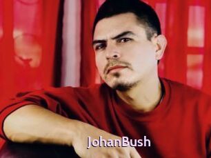 JohanBush