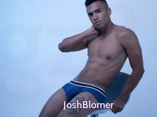 JoshBlomer