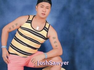 JoshSawyer