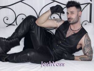JoshVoss