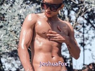 JoshuaFox