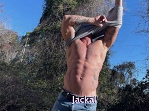 Jackal