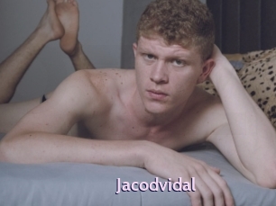 jacodvidal Gay Zone 24