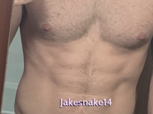 Jakesnake14