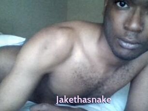 Jake_tha_snake