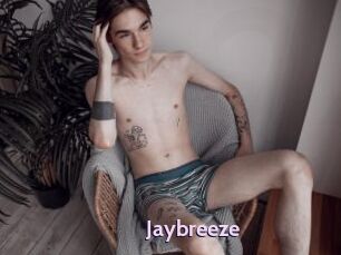 Jaybreeze