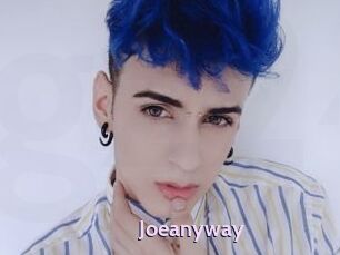 Joeanyway