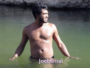 Joebernal
