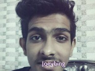 Joeybing