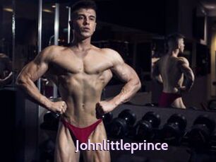 Johnlittleprince