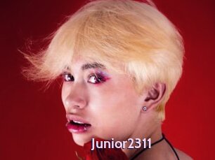 Junior2311