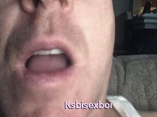 Ksbisexboi