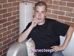 Kanesteep