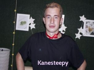 Kanesteepy