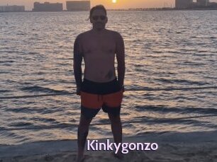 Kinkygonzo