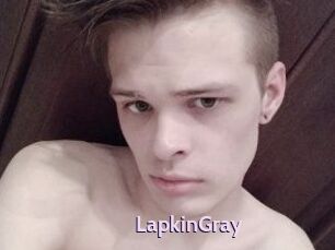 LapkinGray