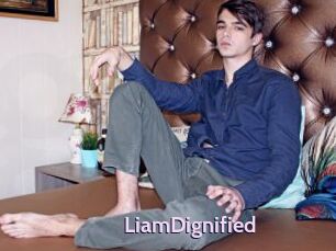 LiamDignified
