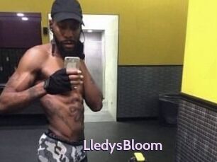 Lledys_Bloom