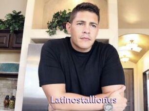 Latinostallionus