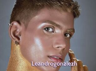 Leandrogonzlezh