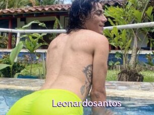 Leonardosantos