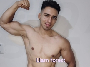 Liam_forest