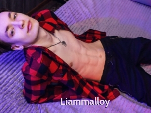 liammalloy Gay Zone 24