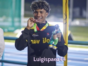 Luigispaez44
