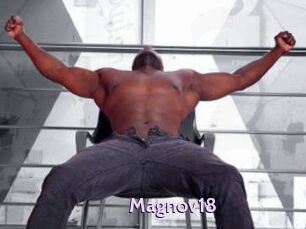 Magnov18