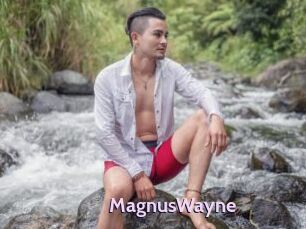 MagnusWayne