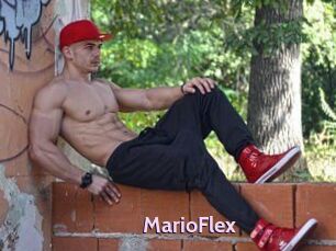 MarioFlex